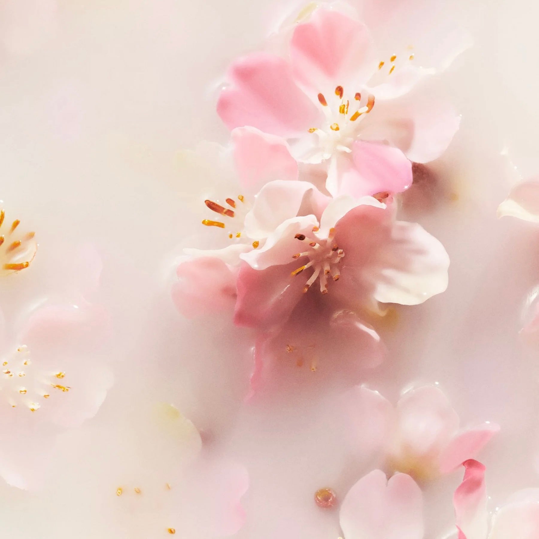 Rituals of Sakura Mini Gift Set